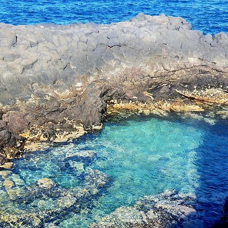 Finca Los Loros Icod De Los Vinos By Hrtenerife Net Santa Cruz de Tenerife Exteriör bild